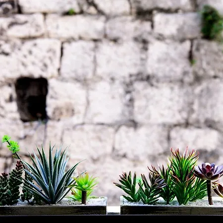 Apartment Peristil Cardo Split